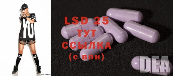 ECSTASY Кукмор