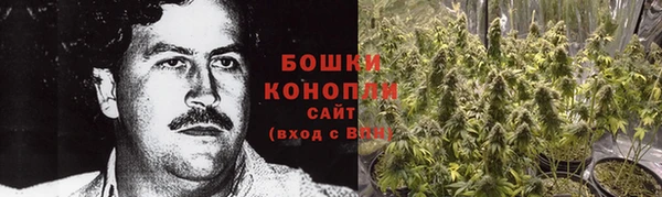 2c-b Каменка