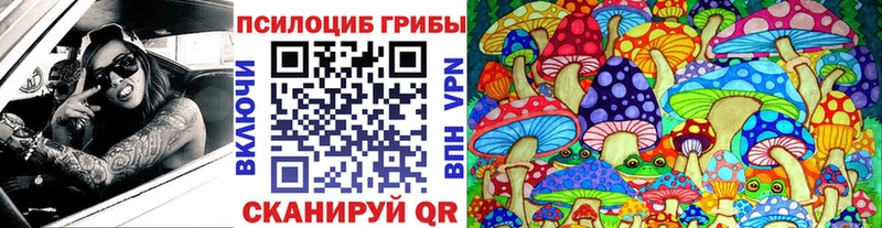 Псилоцибиновые грибы прущие грибы  Беломорск 